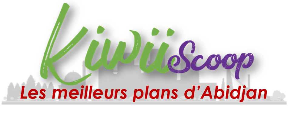 LOGO GEOX ABIDJAN IROCOM